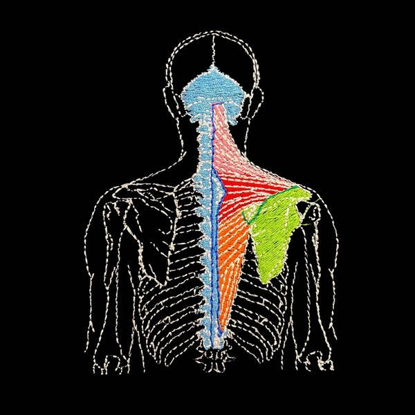 Healthcare Nursing Respiratory Design Budget Fleece